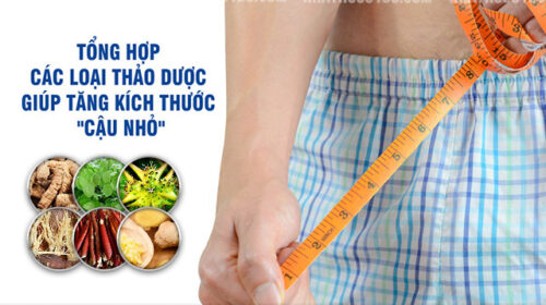 Các loại thảo dược tăng kích thước cậu nhỏ