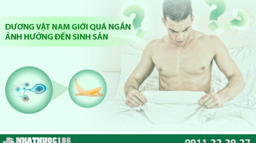 Dương vật nam giới quá ngắn hoặc quá nhỏ ảnh hưởng đến sinh sản?