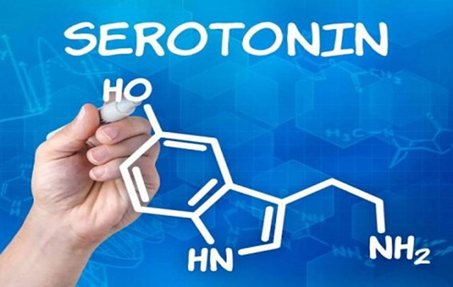 Thuốc ức chê hấp thu Serotonin