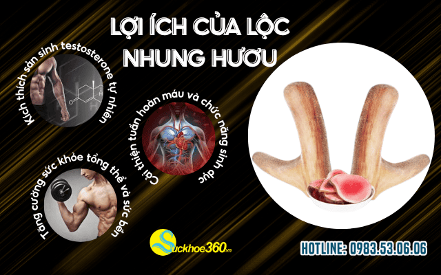 Lợi ích của lộc nhung hươu trong Maxzex